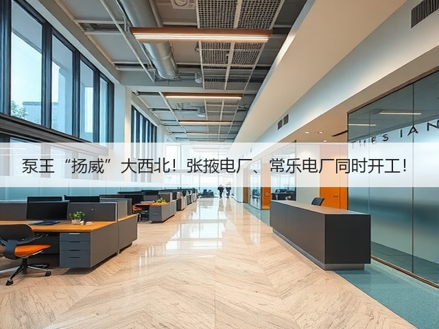 泵王“扬威”大西北！张掖电厂、常乐电厂同时开工！(图3)