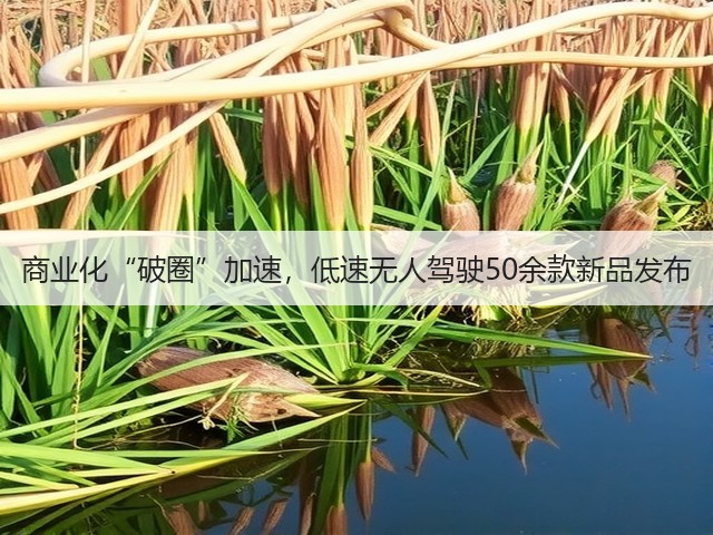 商业化“破圈”加速,低速无人驾驶50余款新品发布(图1) 商业化“破圈”加速,低速无人驾驶50余款新品发布(图1)