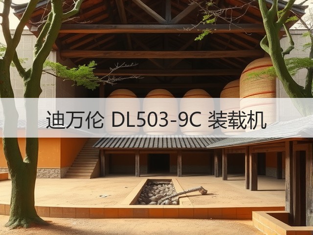 迪万伦 DL503-9C 装载机(图2)