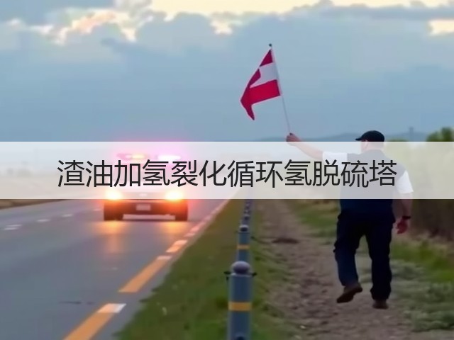 渣油加氢裂化循环氢脱硫塔(图3)