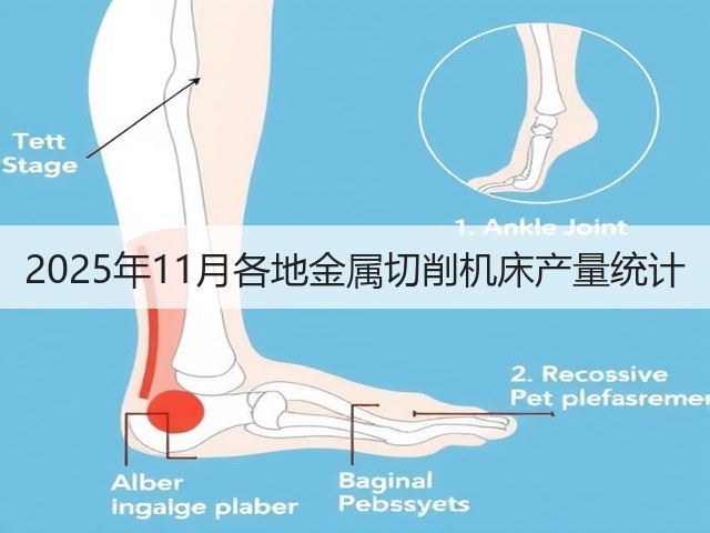 2025年11月各地金属切削机床产量统计(图1) 2025年11月各地金属切削机床产量统计(图1)