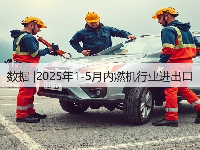数据 |2025年1-5月内燃机行业进出口(图2) 数据 |2025年1-5月内燃机行业进出口(图2)