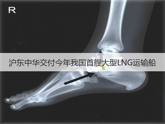 沪东中华交付今年我国首艘大型LNG运输船(图2)
