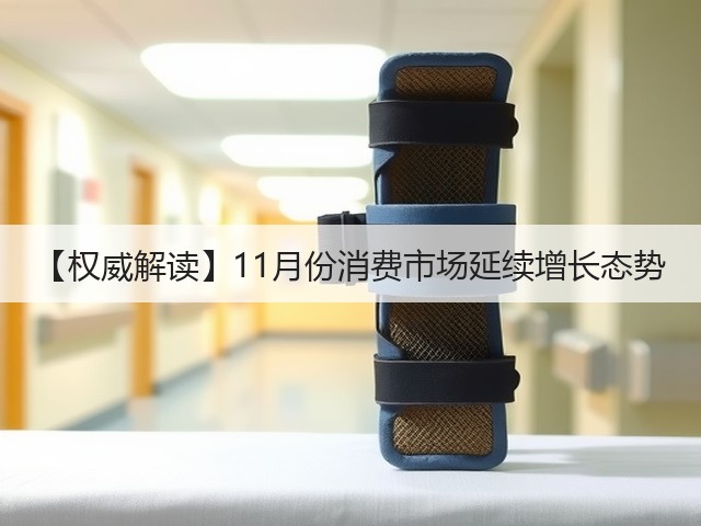 【权威解读】11月份消费市场延续增长态势(图2) 【权威解读】11月份消费市场延续增长态势(图2)