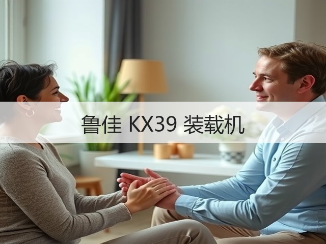 鲁佳 KX39 装载机(图1)