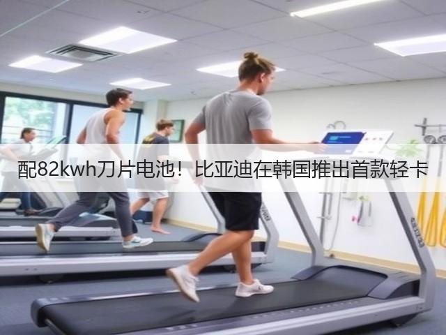 配82kwh刀片电池！比亚迪在韩国推出首款轻卡(图3)