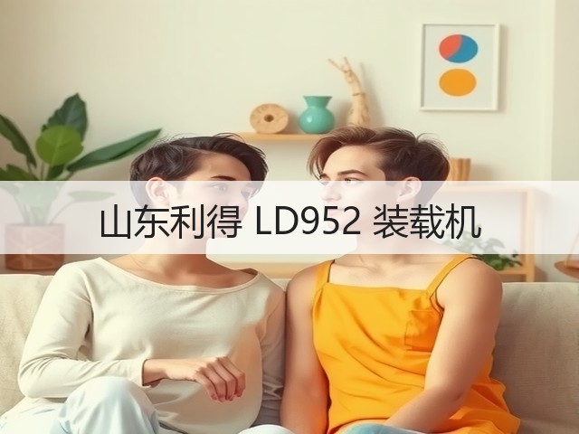 山东利得 LD952 装载机(图2)