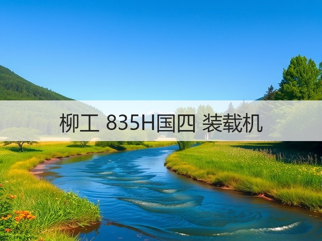 柳工 835H国四 装载机(图3)