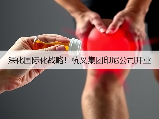 深化国际化战略！杭叉集团印尼公司开业(图3)