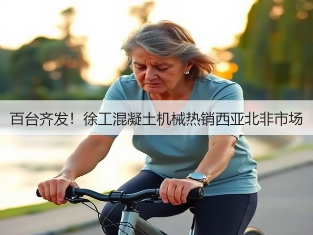 百台齐发!徐工混凝土机械热销西亚北非市场(图2) 百台齐发!徐工混凝土机械热销西亚北非市场(图2)