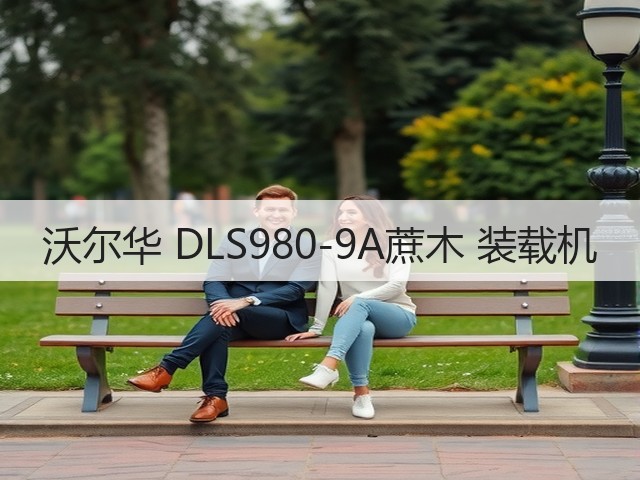 沃尔华 DLS980-9A蔗木 装载机(图3)