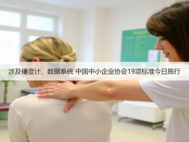涉及硬度计、数据系统 中国中小企业协会19项标准今日施行(图2) 涉及硬度计、数据系统 中国中小企业协会19项标准今日施行(图2)