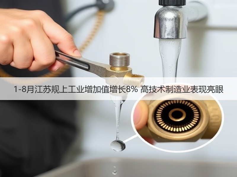 1-8月江苏规上工业增加值增长8% 高技术制造业表现亮眼 1-8月江苏规上工业增加值增长8% 高技术制造业表现亮眼