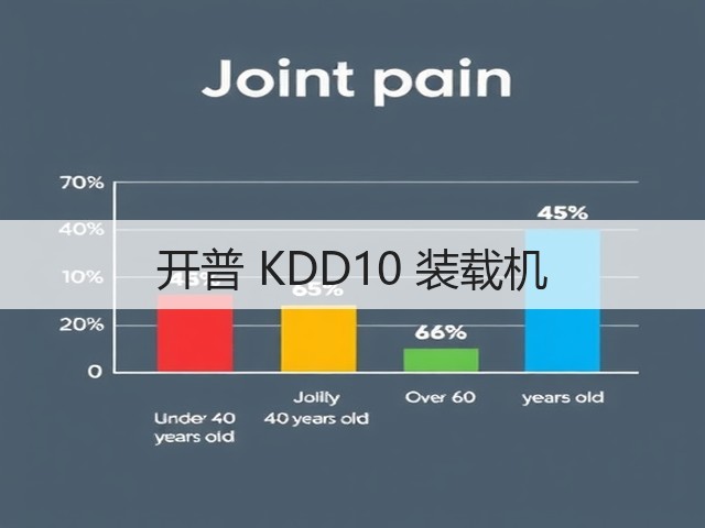 开普 KDD10 装载机(图3)