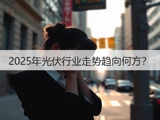 2025年光伏行业走势趋向何方？(图1)