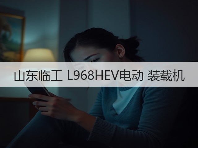 山东临工 L968HEV电动 装载机(图3)