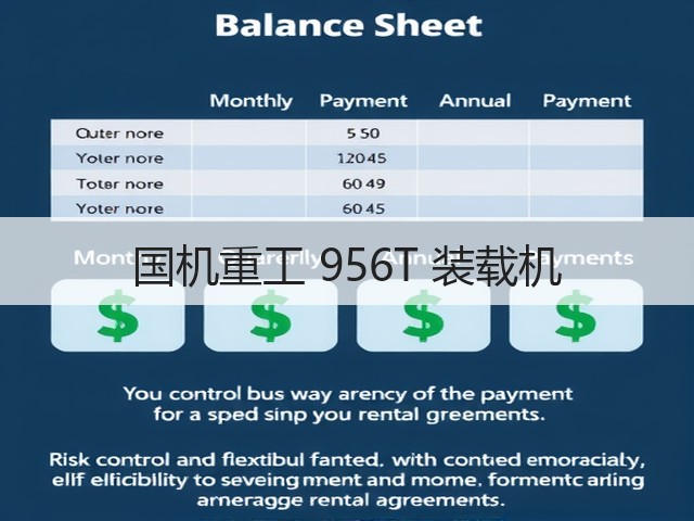 国机重工 956T 装载机(图2) 国机重工 956T 装载机(图2)