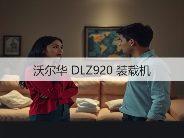 沃尔华 DLZ920 装载机(图3)