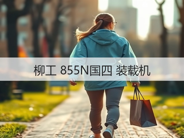 柳工 855N国四 装载机(图3) 柳工 855N国四 装载机(图3)