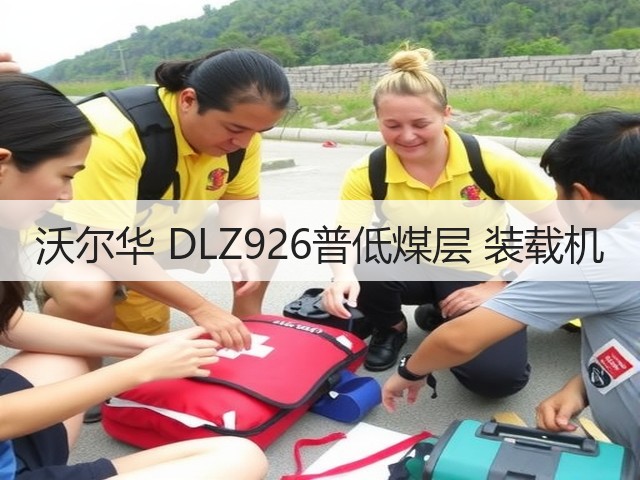 沃尔华 DLZ926普低煤层 装载机(图2) 沃尔华 DLZ926普低煤层 装载机(图2)