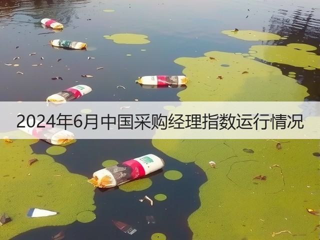 2024年6月中国采购经理指数运行情况(图3) 2024年6月中国采购经理指数运行情况(图3)