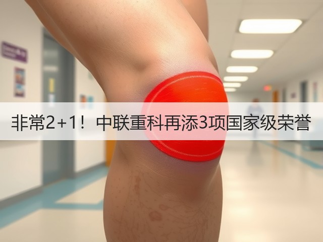 非常2+1!中联重科再添3项国家级荣誉(图2) 非常2+1!中联重科再添3项国家级荣誉(图2)