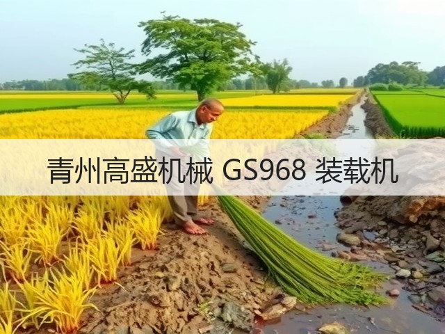 青州高盛机械 GS968 装载机(图2)