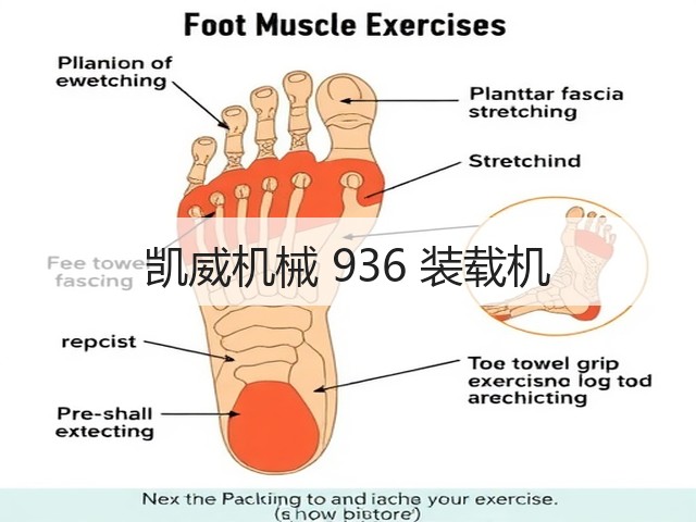 凯威机械 936 装载机(图3) 凯威机械 936 装载机(图3)