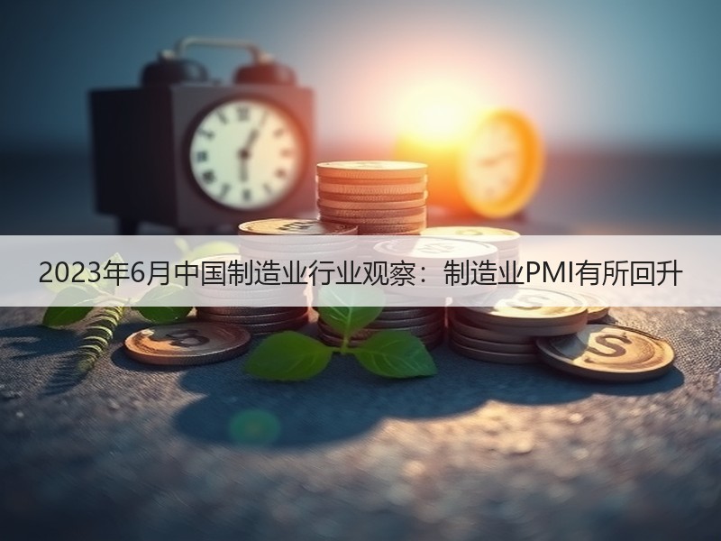 2023年6月中国制造业行业观察：制造业PMI有所回升