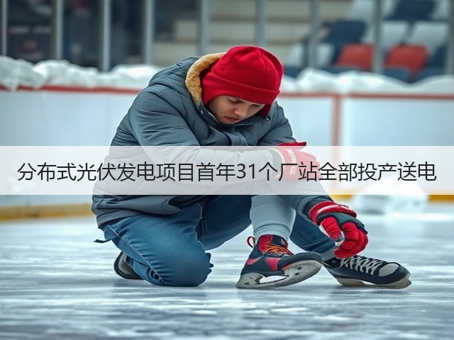 分布式光伏发电项目首年31个厂站全部投产送电(图3)