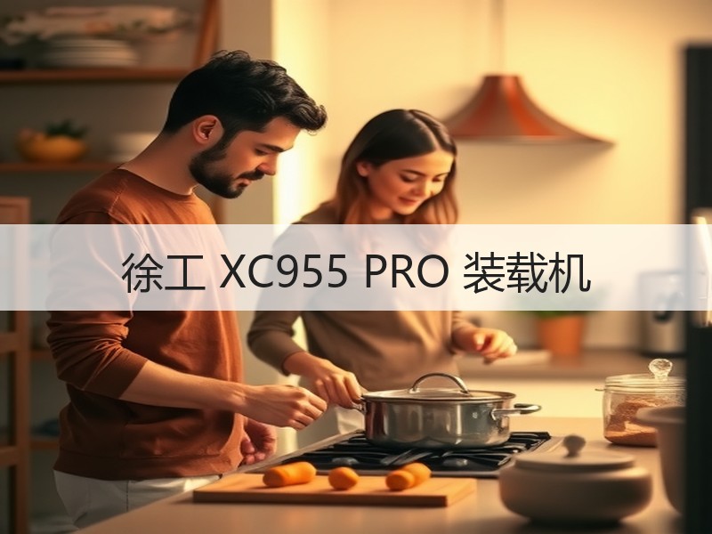 徐工 XC955 PRO 装载机 徐工 XC955 PRO 装载机