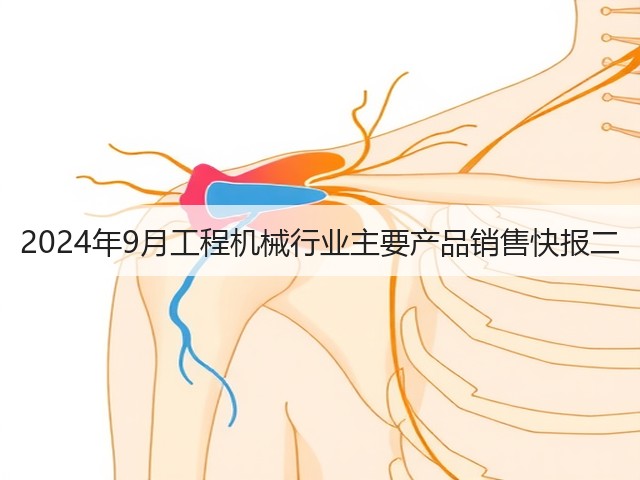 2024年9月工程机械行业主要产品销售快报二(图3)