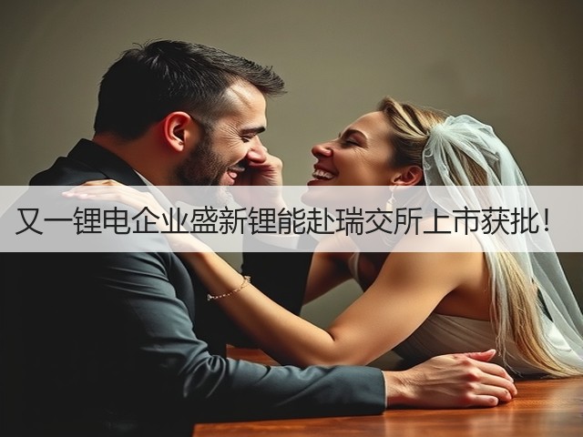 又一锂电企业盛新锂能赴瑞交所上市获批!(图1) 又一锂电企业盛新锂能赴瑞交所上市获批!(图1)