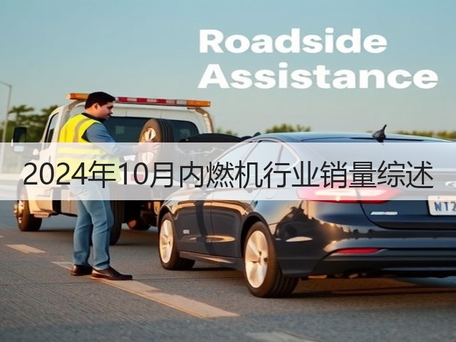 2024年10月内燃机行业销量综述(图3)