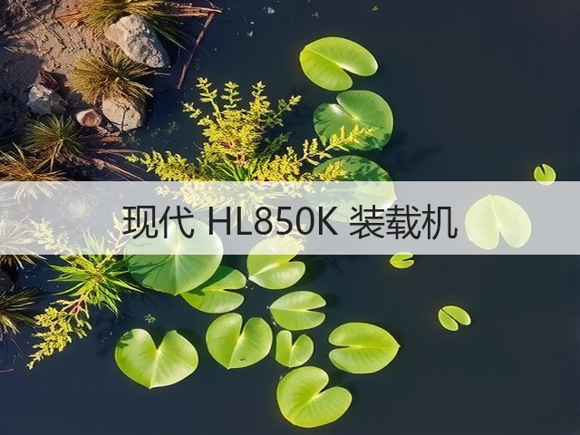 现代 HL850K 装载机(图1) 现代 HL850K 装载机(图1)