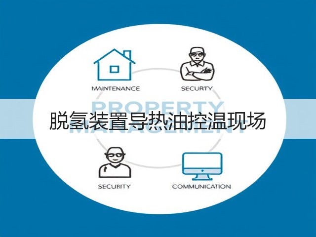 脱氢装置导热油控温现场(图2)
