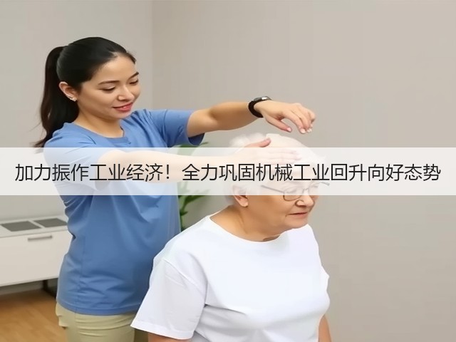 加力振作工业经济!全力巩固机械工业回升向好态势(图2) 加力振作工业经济!全力巩固机械工业回升向好态势(图2)