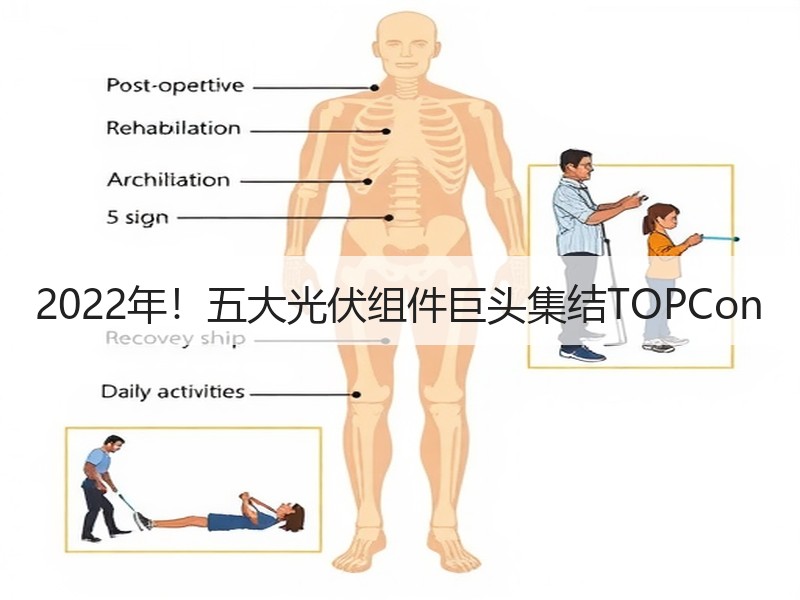 2022年！五大光伏组件巨头集结TOPCon