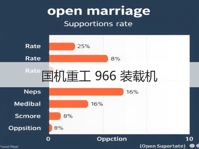 国机重工 966 装载机(图2)