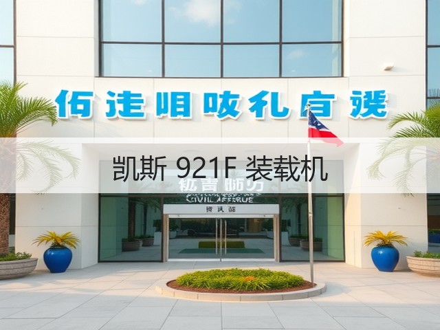 凯斯 921F 装载机(图3)