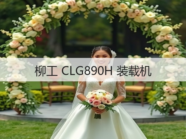 柳工 CLG890H 装载机(图3)
