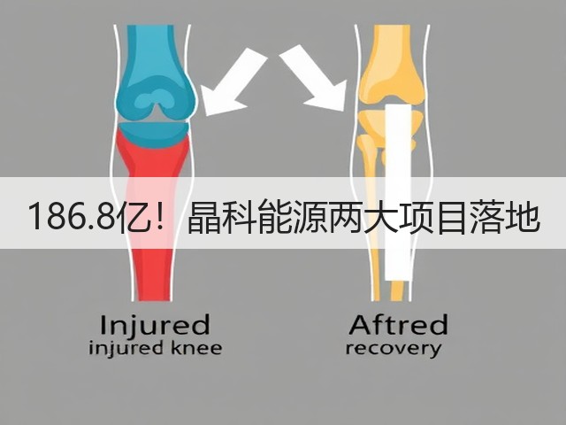 186.8亿!晶科能源两大项目落地(图3) 186.8亿!晶科能源两大项目落地(图3)