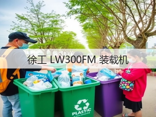 徐工 LW300FM 装载机(图1)