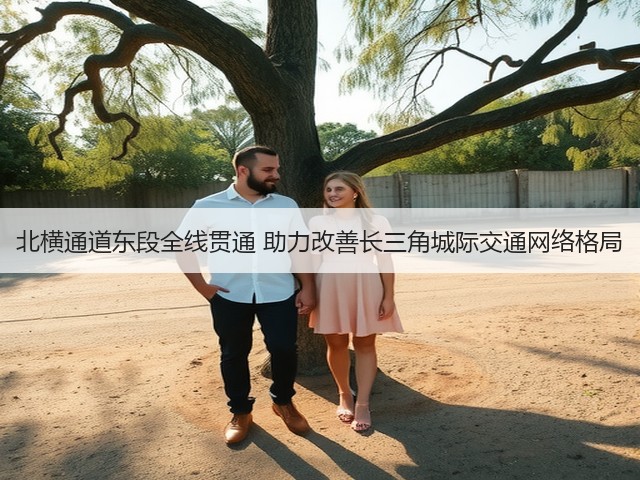 北横通道东段全线贯通 助力改善长三角城际交通网络格局(图3) 北横通道东段全线贯通 助力改善长三角城际交通网络格局(图3)