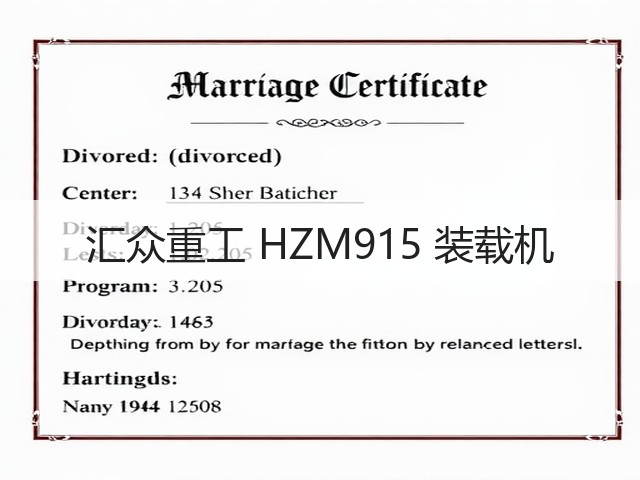 汇众重工 HZM915 装载机(图2) 汇众重工 HZM915 装载机(图2)