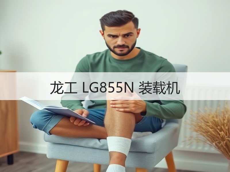 龙工 LG855N 装载机
