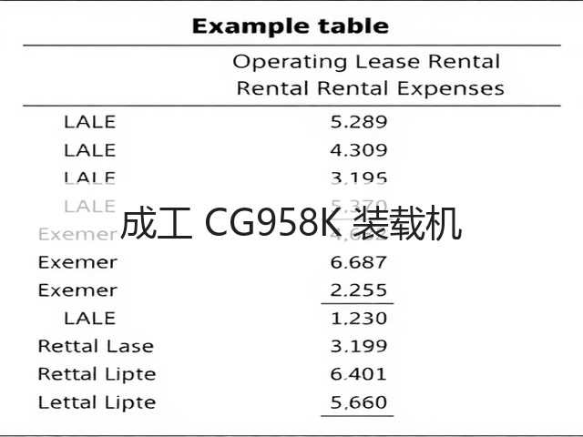 成工 CG958K 装载机(图3) 成工 CG958K 装载机(图3)