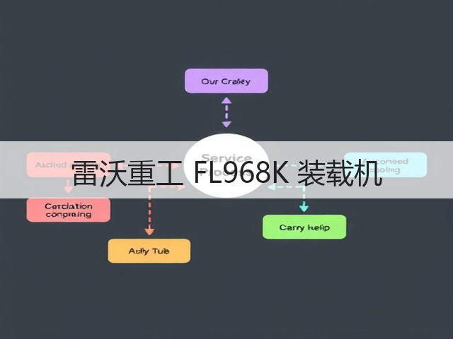 雷沃重工 FL968K 装载机(图3)