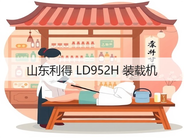 山东利得 LD952H 装载机(图2) 山东利得 LD952H 装载机(图2)