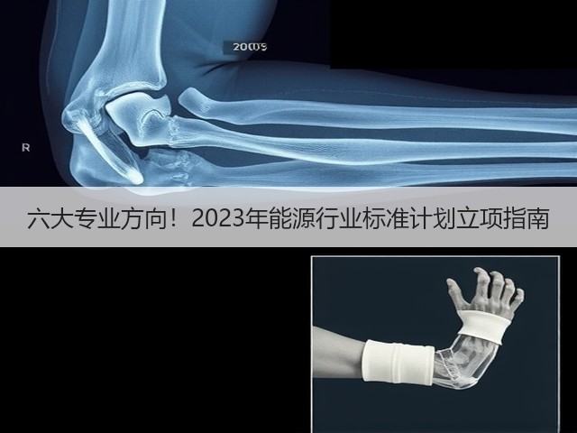 六大专业方向!2023年能源行业标准计划立项指南(图3) 六大专业方向!2023年能源行业标准计划立项指南(图3)